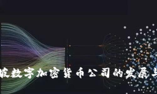 新加坡数字加密货币公司的发展与前景