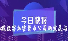 新加坡数字加密货币公司