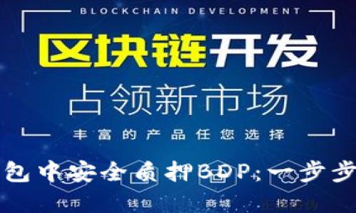 如何在TP钱包中安全质押BDP：一步步的详细指南