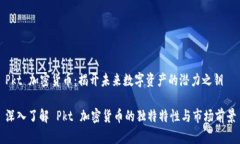 Pkt 加密货币：揭开未来数