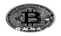 加密货币的崛起：跨越的